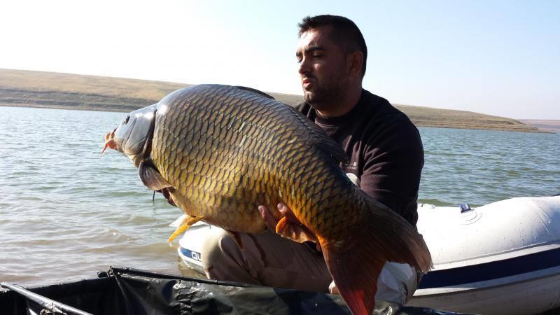 crapi de sarulesti - 1441176657707074290275861029402n.jpg